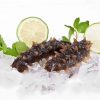 Can you eat honey and sea cucumber at the same time? The Benefits of Honey and Sea Cucumber