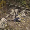 It's awful! Footage of Azerbaijani soldiers killed in action: corpses and blood flowing everywhere