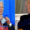 The 2020 Election is an Epidemic Voters: Vote for Life