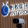 Ant listing was suddenly halted, the government and the public struggle to make Ant Financial second "horse already served"