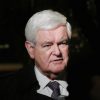 Former U.S. Speaker Newt Gingrich: U.S. elections aren't over yet