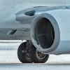 A U.S. Boeing 737 crashed into a brown bear, damaging the left side of the engine cowling.