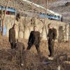 Did Kim Jong-un order the blockade? ... Stormtroopers, Border Patrol Collective Quarantine