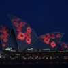 Pro-Beijing forces monopolize Australia's Chinese media, some allegedly under the control of the United Front Worker's Office.