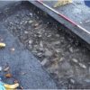 Water project uncovers nearly 2,000-year-old Roman road